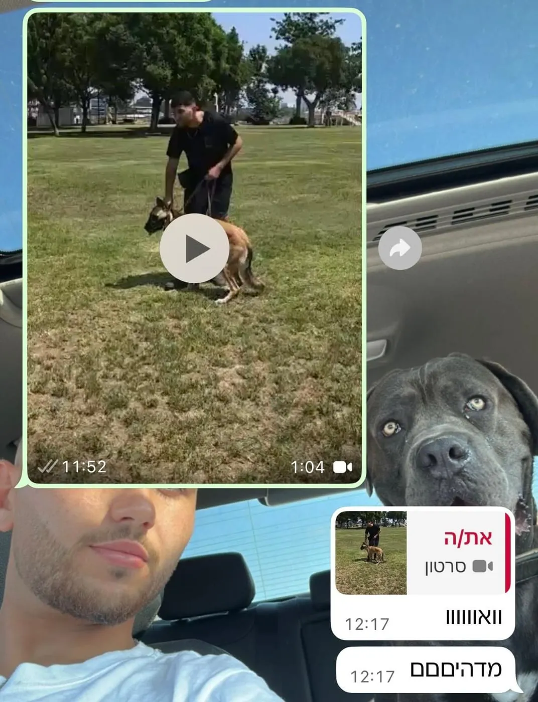 סרטון אימון שנשלח ללקוחה, והתגובות שלה: "וואוווו" ו"מדהיםםם"